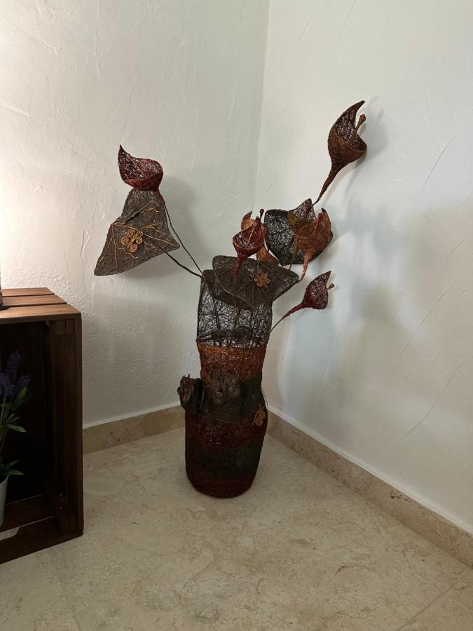 Hotel New Paradaise Art Gallery à Xàtiva Extérieur photo