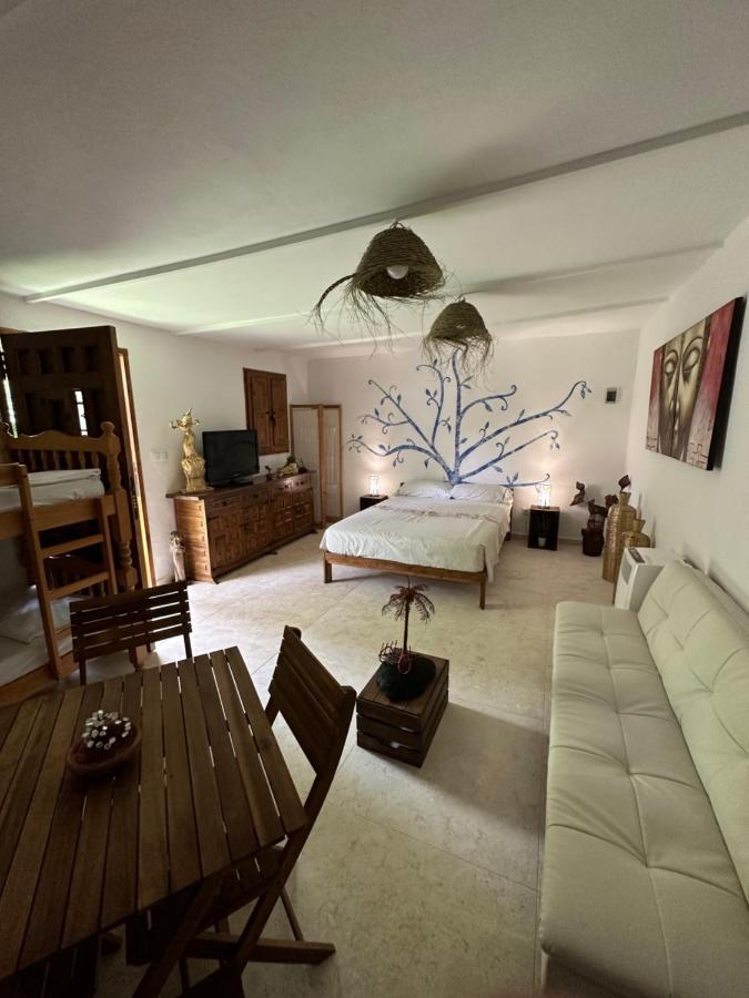 Hotel New Paradaise Art Gallery à Xàtiva Extérieur photo