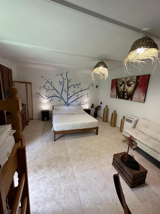 Hotel New Paradaise Art Gallery à Xàtiva Extérieur photo