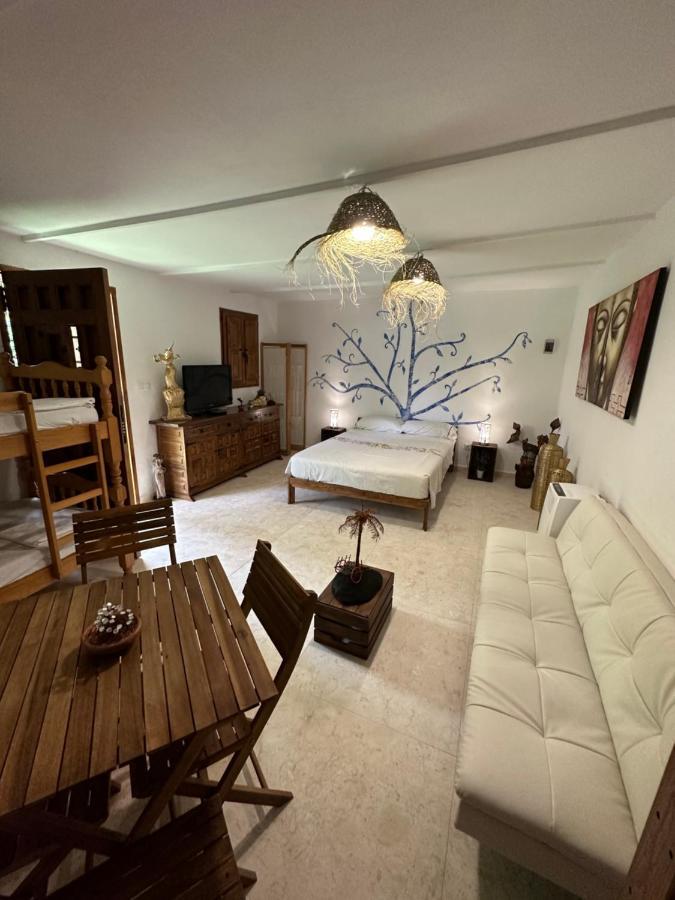 Hotel New Paradaise Art Gallery à Xàtiva Extérieur photo